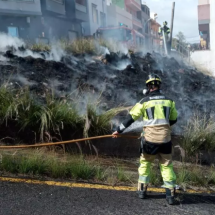 Humo entre zarzas en Tíncer