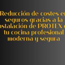 Reducción de costes en seguros gracias a la instalación de PROTEX en tu cocina profesional moderna y segura