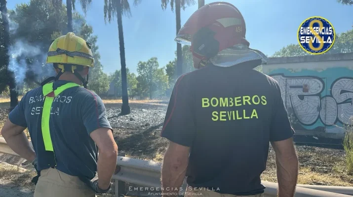 Nuevo incendio en la Isla de la Cartuja de Sevilla: medidas urgentes de prevención