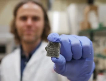 Innovación en materiales sostenibles: espuma de algas marinas con propiedades únicas