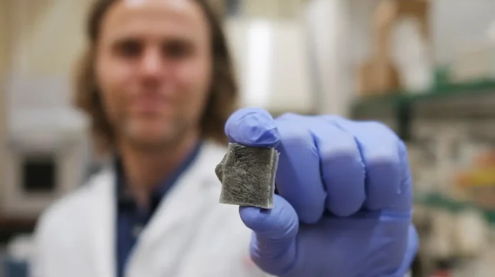 Innovación en materiales sostenibles: espuma de algas marinas con propiedades únicas