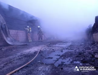 Tragedia en Sancho Abarca: 1.500 lechones y 25 cerdas mueren en incendio de dos naves porcinas