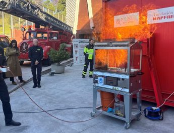 Panorama nacional de los incendios en viviendas y la prevención doméstica en España. Radiografía actual de los incendios