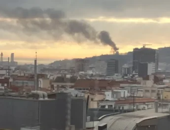Incendio en Montjuïc: análisis detallado del suceso y claves para la prevención urbana. Un incidente que alertó a toda Barcelona.