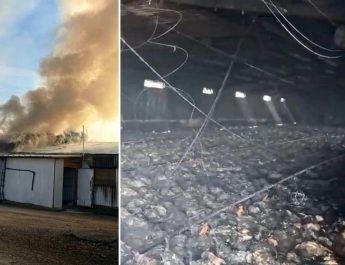 Explosión de fuego en granja de Villafranca provoca 10.000 muertes