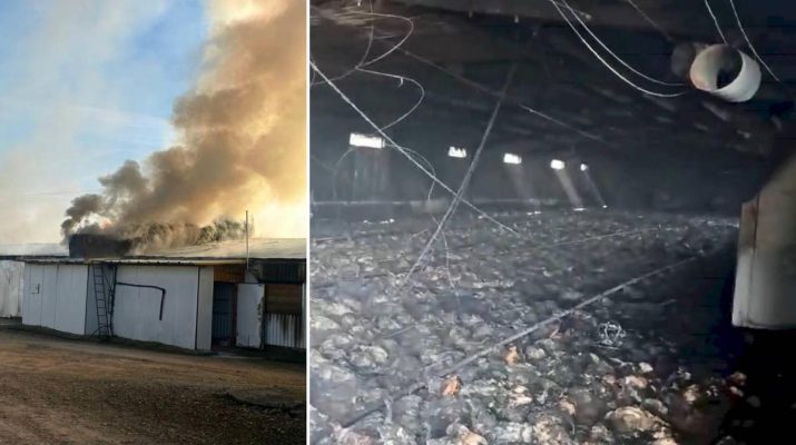Explosión de fuego en granja de Villafranca provoca 10.000 muertes